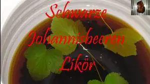 Schwarzer Johannisbeer-Likör Rezept von enigma 6370