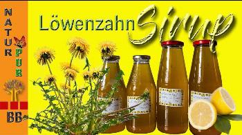 Löwenzahn-Blüten Sirup Rezept von Bettina Böhme * Caravaning und mehr
