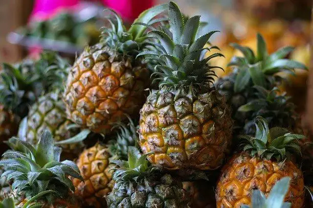 Die Ananas - das tropische Kraftpaket