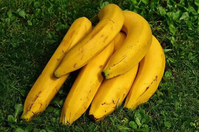 Bananen - ein Bündel voll Kalzium